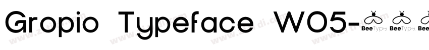 Gropio Typeface W05字体转换